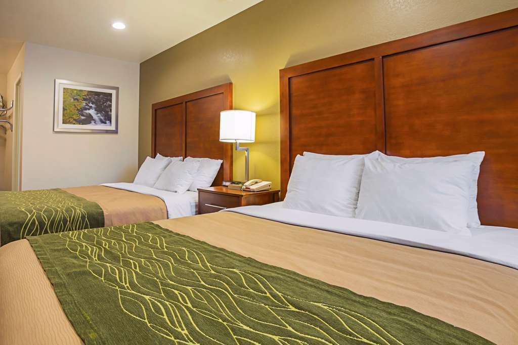 Comfort Inn Bishop Camera foto